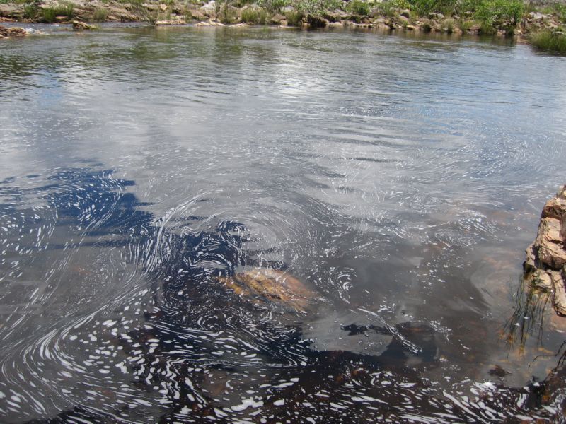 2008-01-09 Chapada (65)